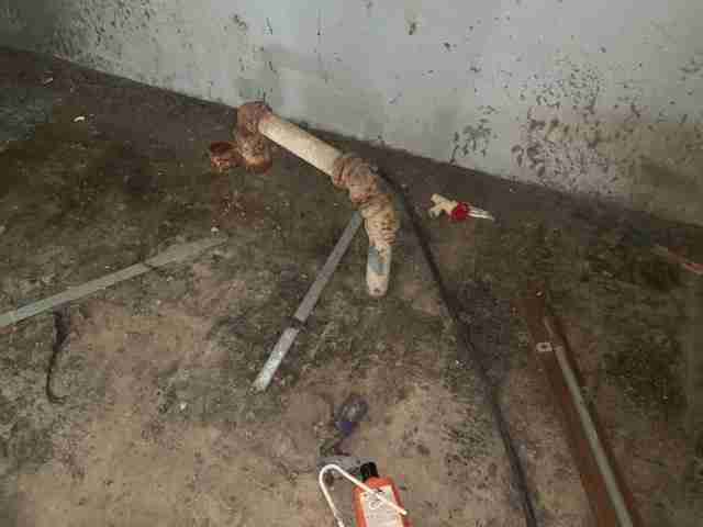 Testing again(19).jpg